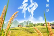 武夷山芒种节气小知识来了 夏种作物都有什么？